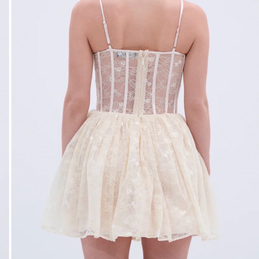 NWT AKIRA Brunchin Lace Mini Dress-Sz 1X-Cream Floral Overlay-Sheer Corset Top - Picture 2 of 15